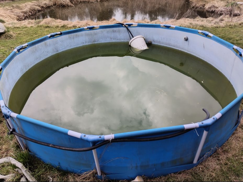 Basen Bestway 366/76