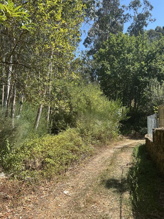 5 Terrenos à Venda em Vilar de Mouros, Caminha — 5.500 m²