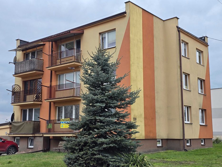 Zdjęcie 8