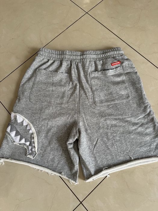 Шорти Sprayground