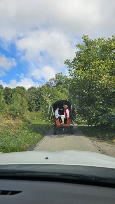 Noclegi ( 28 m-c), jacuzzi, stodoła ,domek grilowy, org.  imprez