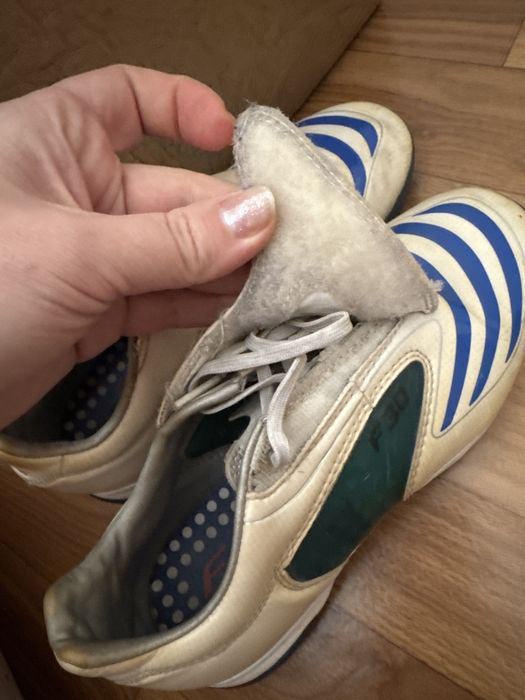 Продам сороконіжки 35 р