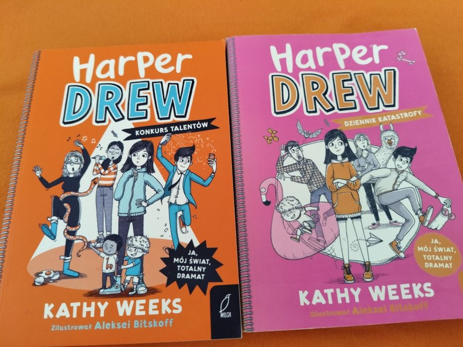 Harper Drew Konkurs talentów, Dziennik  katastrofy