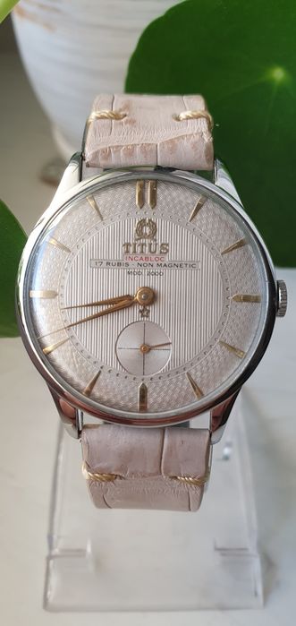 Titus - rzadko wystawiany model