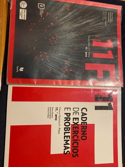 Manual e Caderno de Atividades "Novo 11F" Físico Quimica 11º ano