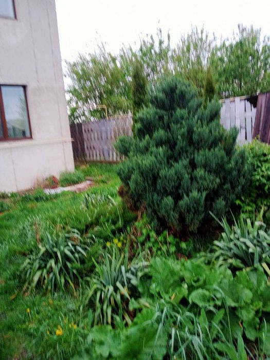 Будинок за адресою вул. Богдана Хмельницького (площа 274,5 м²) - Atlanta.ua - фото 17