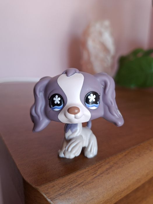 Lps pet shop piesek spaniel