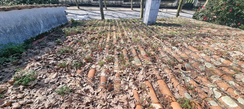 Lavagem, tratamento, rectificação, manutenção e pintura de telhados.