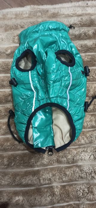 Одяг для чихуахуа