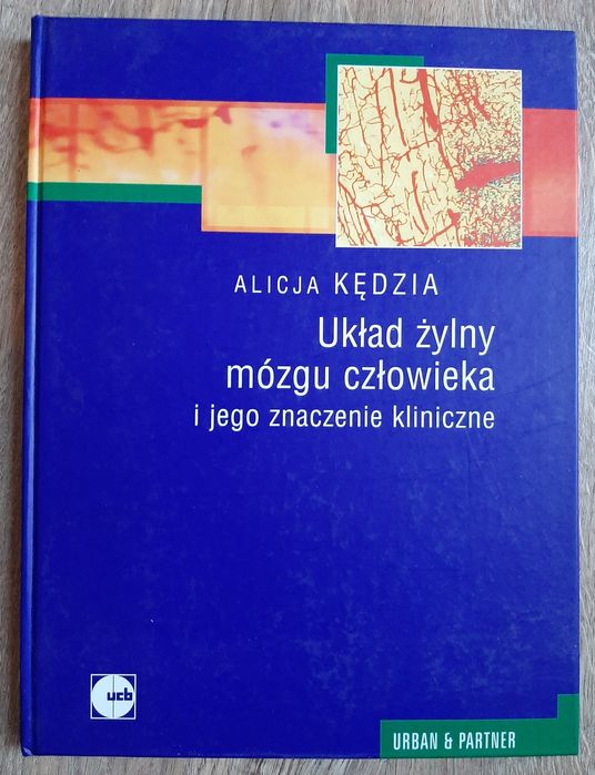 Układ żylny mózgu człowieka i jego znaczenie kliniczne