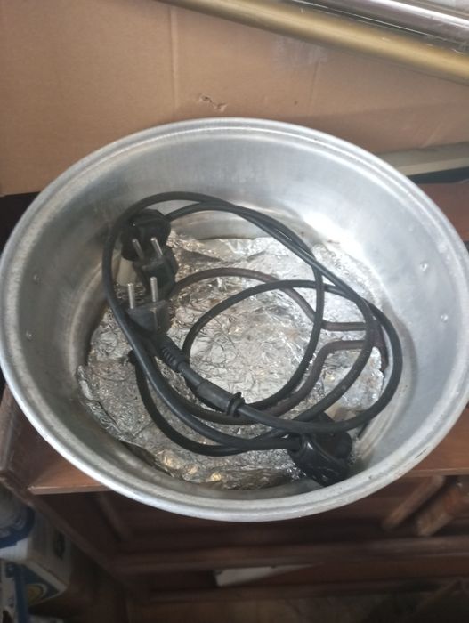 Patusca em bom estado