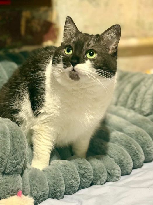 Нежная Девочка ищет семью