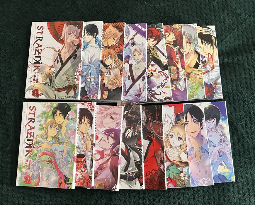 Seria "Strażnik domu Momochi" - Aya Shouoto