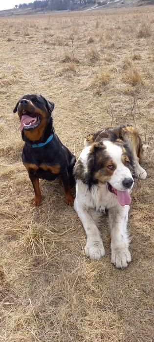 Жених ищет невесту