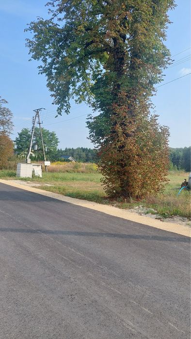 Dom wolnostojący