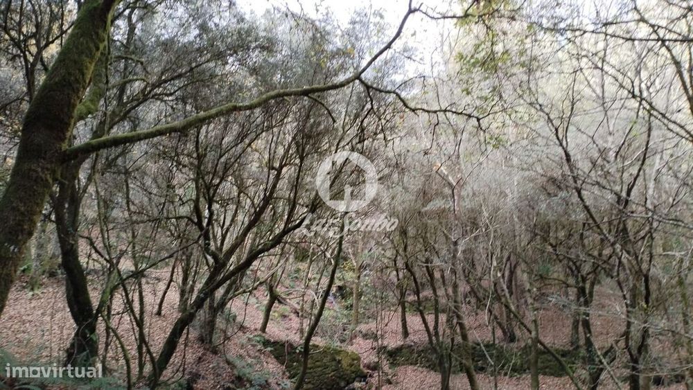 Terreno de 6140m² no Parque Natural do Gerês