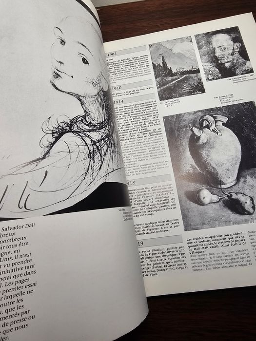 Livro arte Salvador Dali