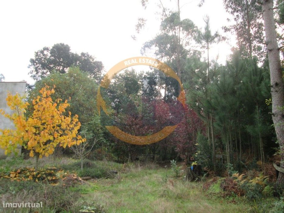 Terreno Construção Souto