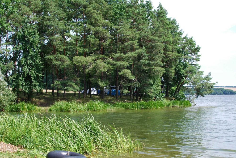 Продаж земельної ділянки для садівництва, біля с.Степашки, 8 соток