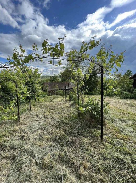 Продаж ділянки с.Зашків