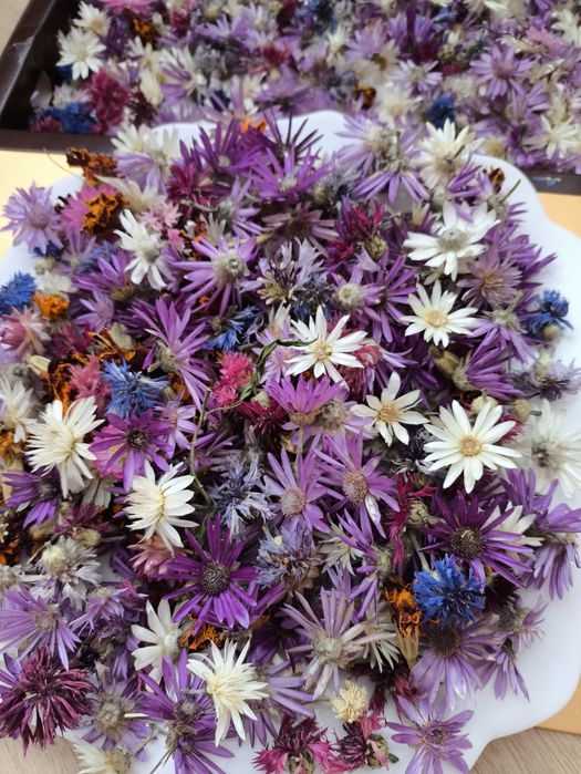 Сухоцвіт мікс,фіолетовий і білий,волошки і чорнобривці сушені