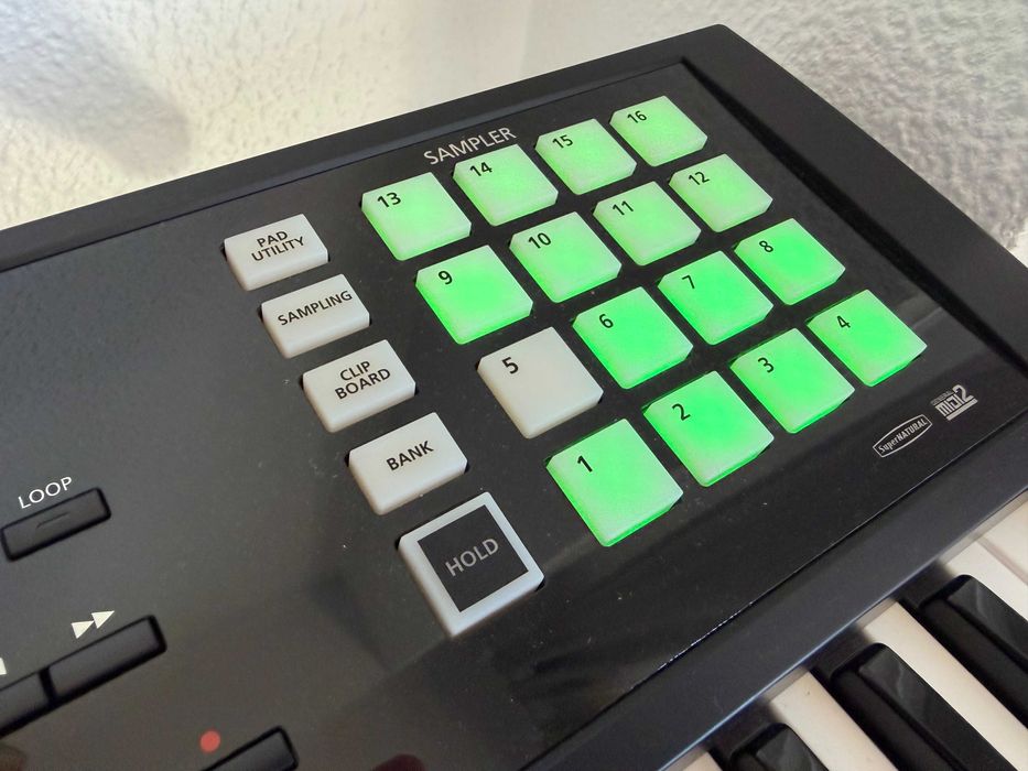 Roland FA‑06 Workstation + Bolsa + Pedal + Suporte em X