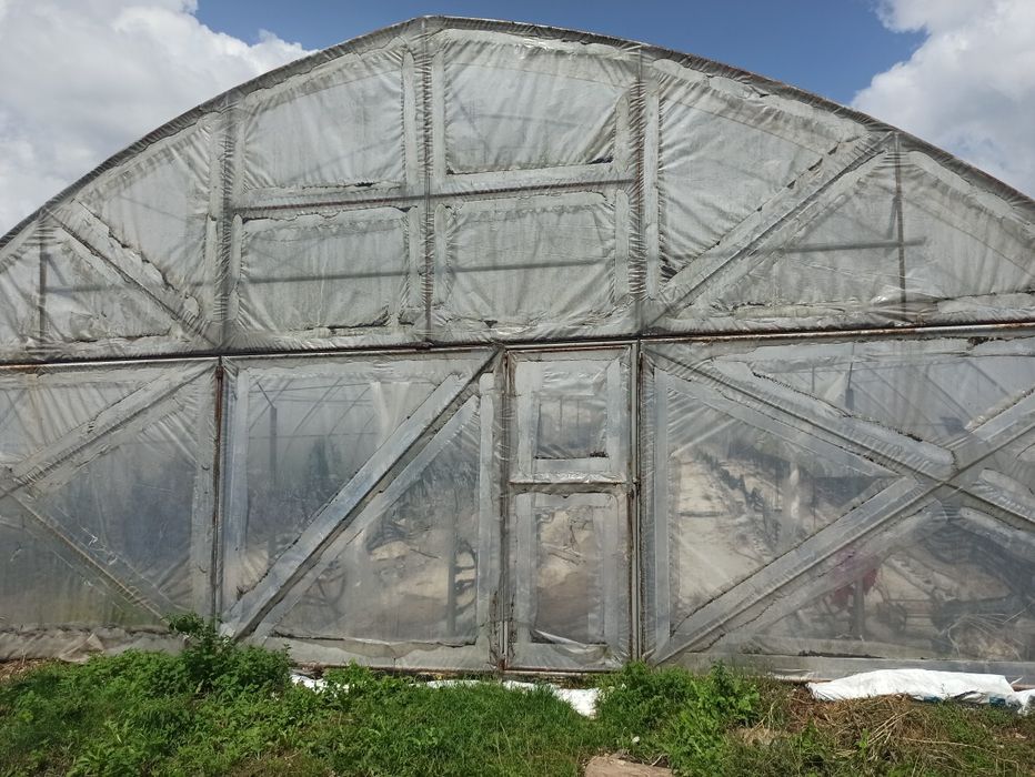 Tunel foliowy 10.5mx62m