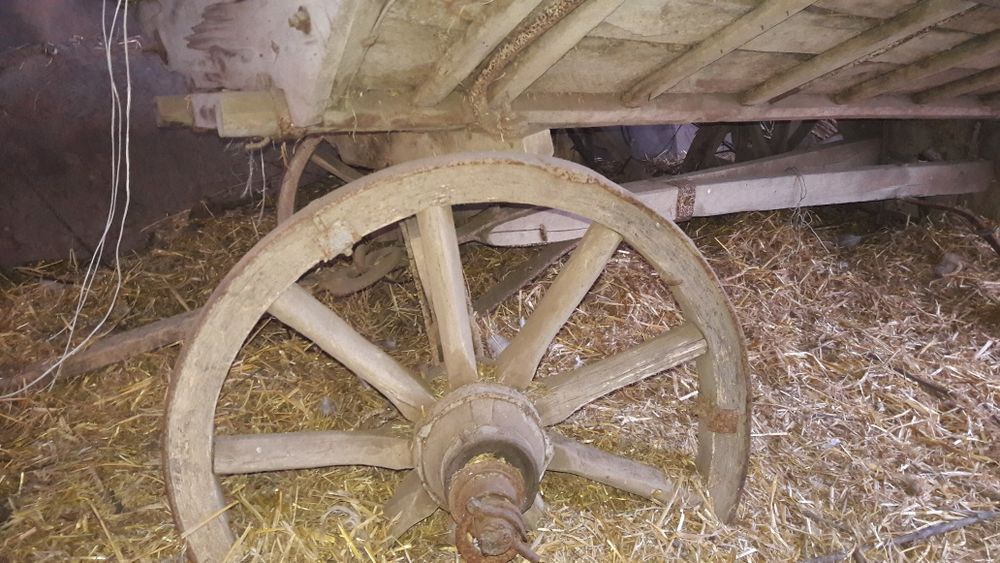 Віз на колесах, одноконка