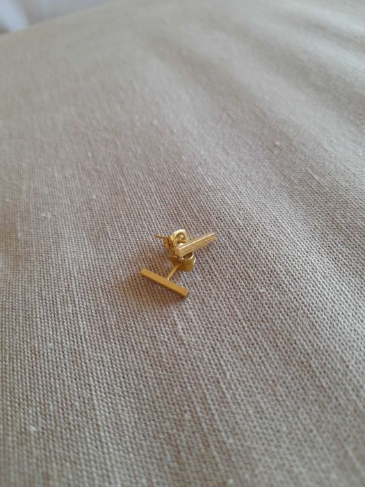 Brincos novos em aço inoxidável