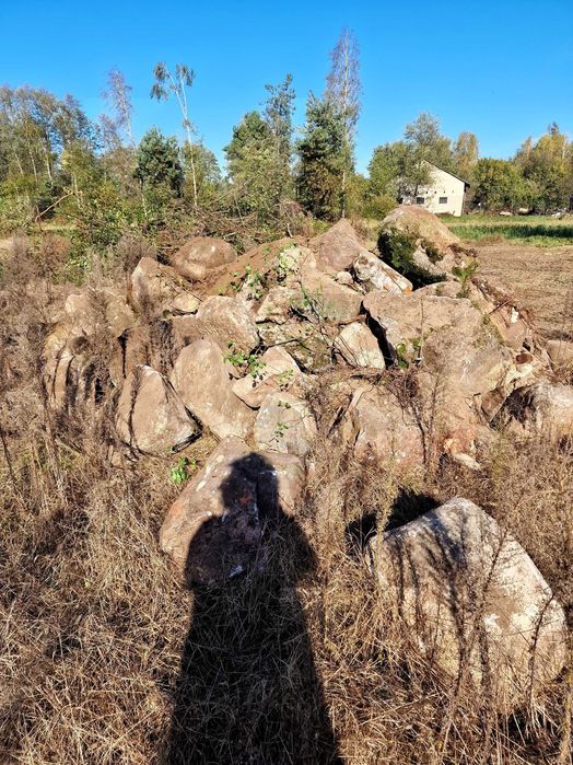 Kamień ogrodowy oddam