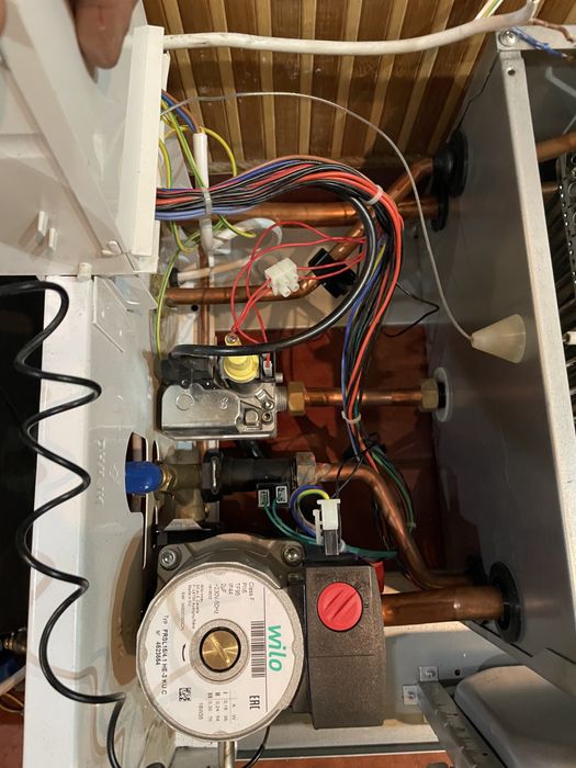 Газовый котел Ferroli Domina F24 турбо в идеале