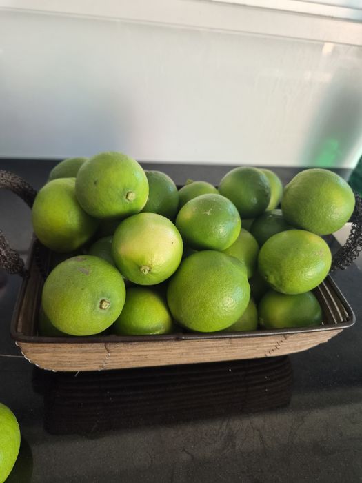 Limas (fruto)prontas a consumir