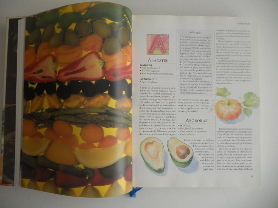 Livro culinária novo - "Alimentos Bons, Alimentos Perigosos"