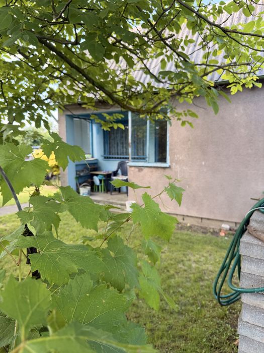Dzialka ROD im. Leszka Białego