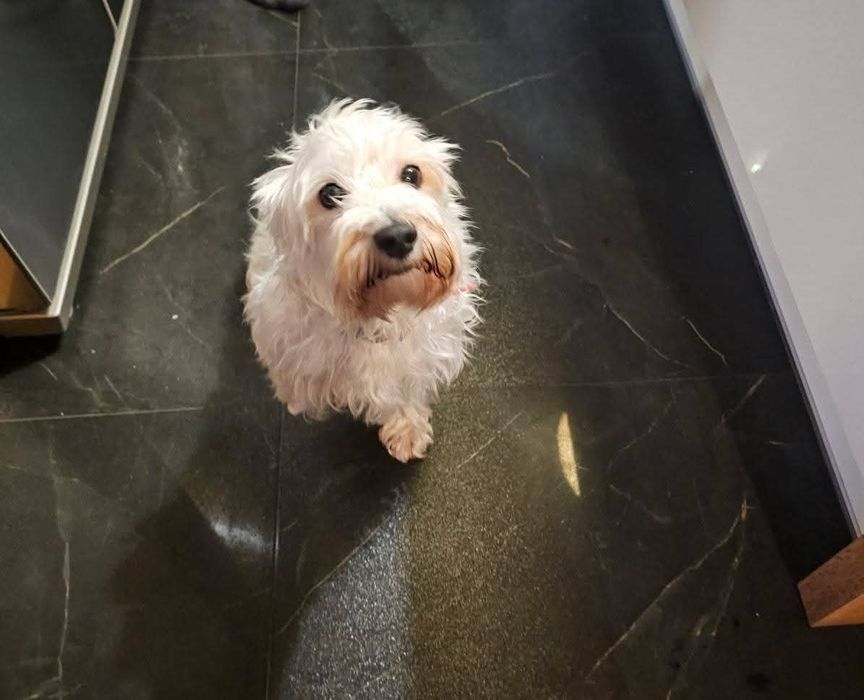 Sunia - mała, młoda