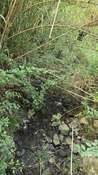 Armazém agrícola remodelado com terreno agrícola