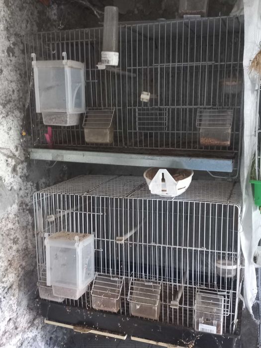 Gaiolas de pássaros