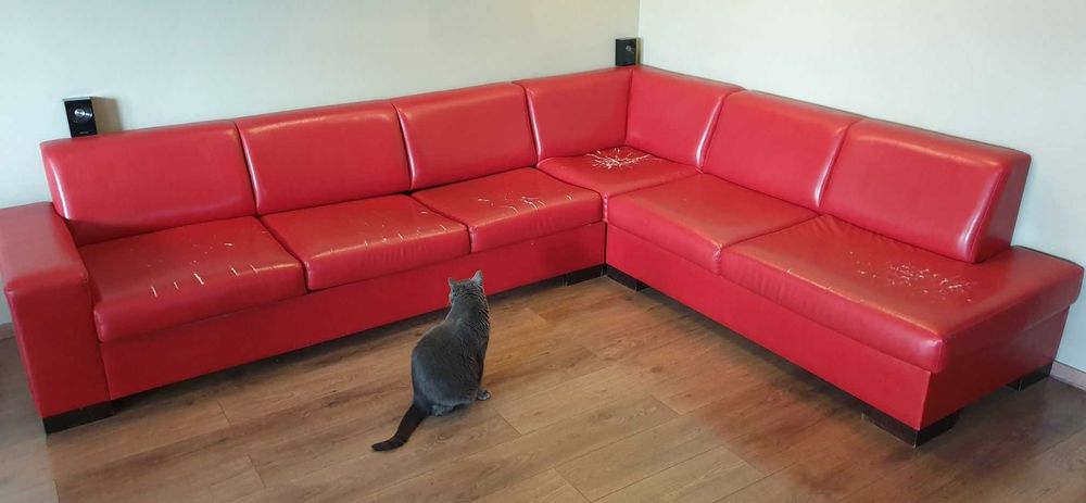 Tapicer- renowacja mebli