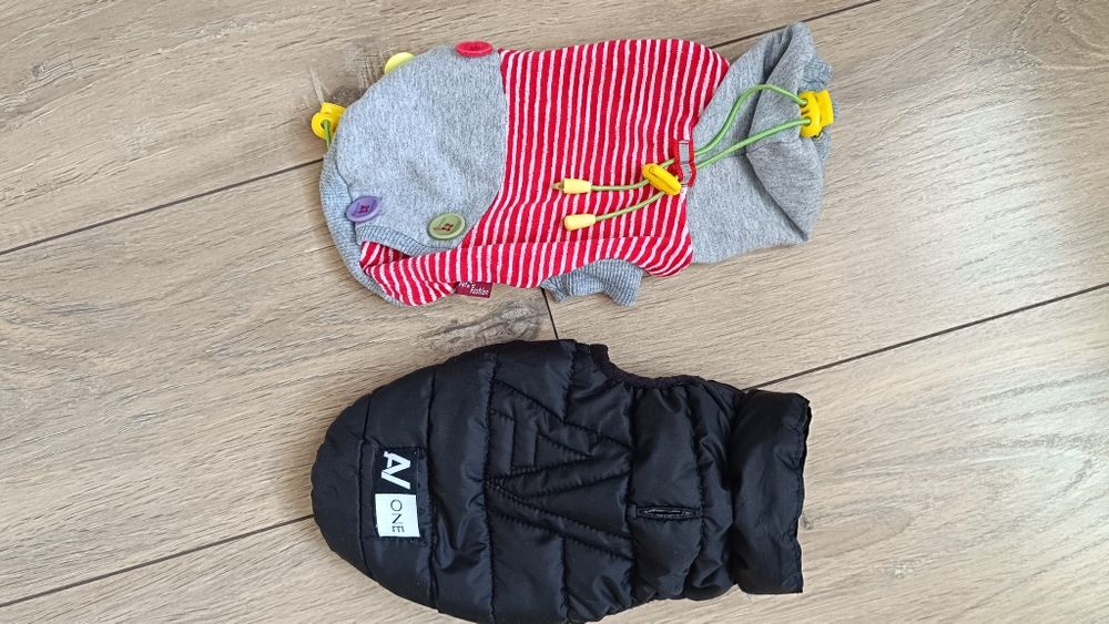 Одяг для маленької собачки