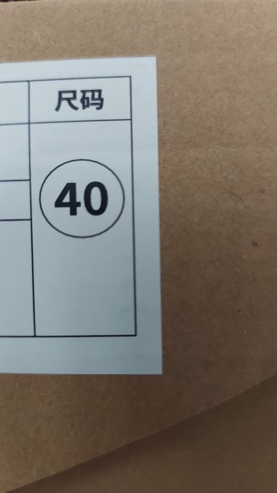 Sapato de segurança novos