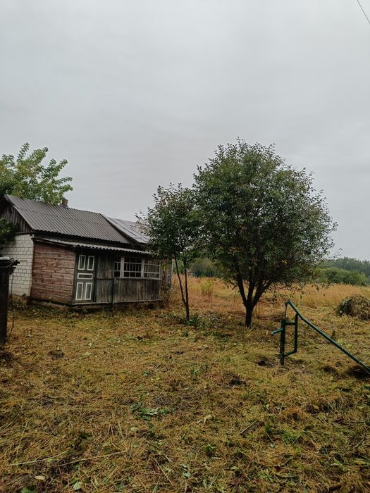 Будинок у мальовничому селі біля Десни, лісів та озер