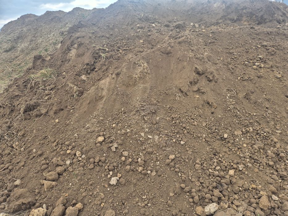 ziemia zmieszana za darmo