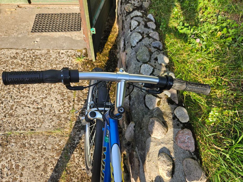 rower MTB Wheeler 600