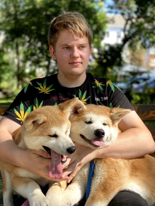 Цуценята акіта іну,  японська акіта, Хатіко
