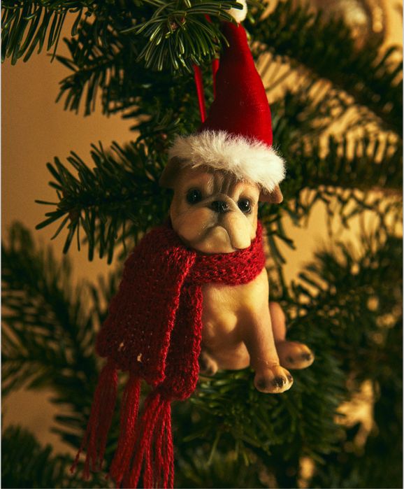Enfeite BULDOGUE Resina Natal Zara Home NOVO