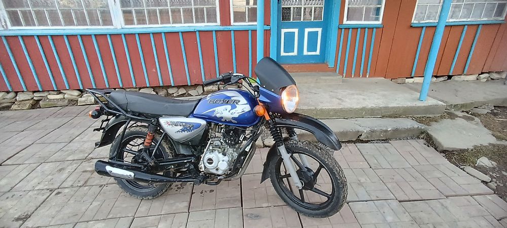 Продам баджач боксер 150