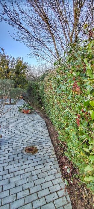 Limpeza de terrenos - Jardinagem