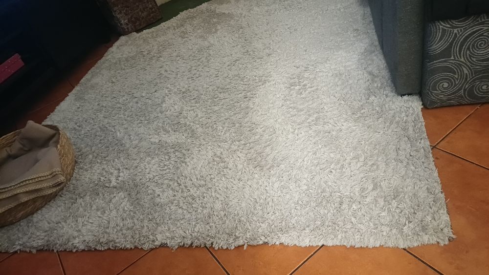 Carpete de pelo Alto