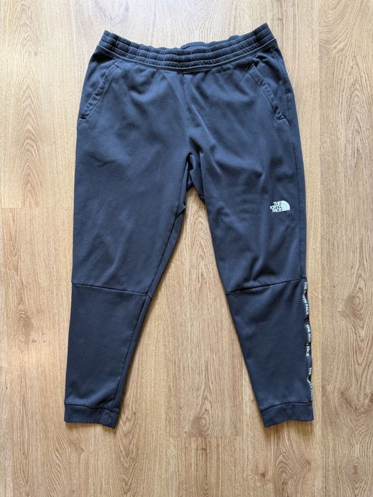 Спортивні штани The North Face (size L)