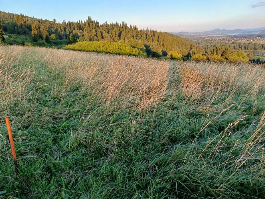 Działka budowlana - Widok 3